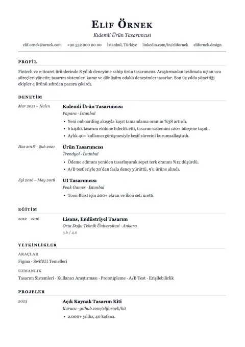 Journal CV şablonu önizlemesi