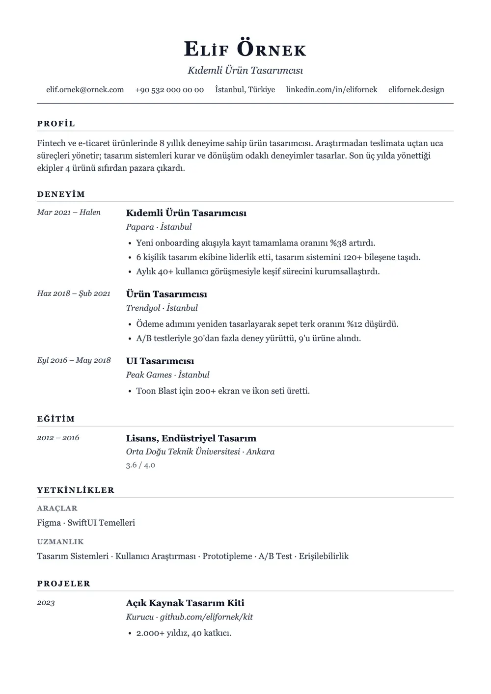 Journal CV şablonu önizlemesi