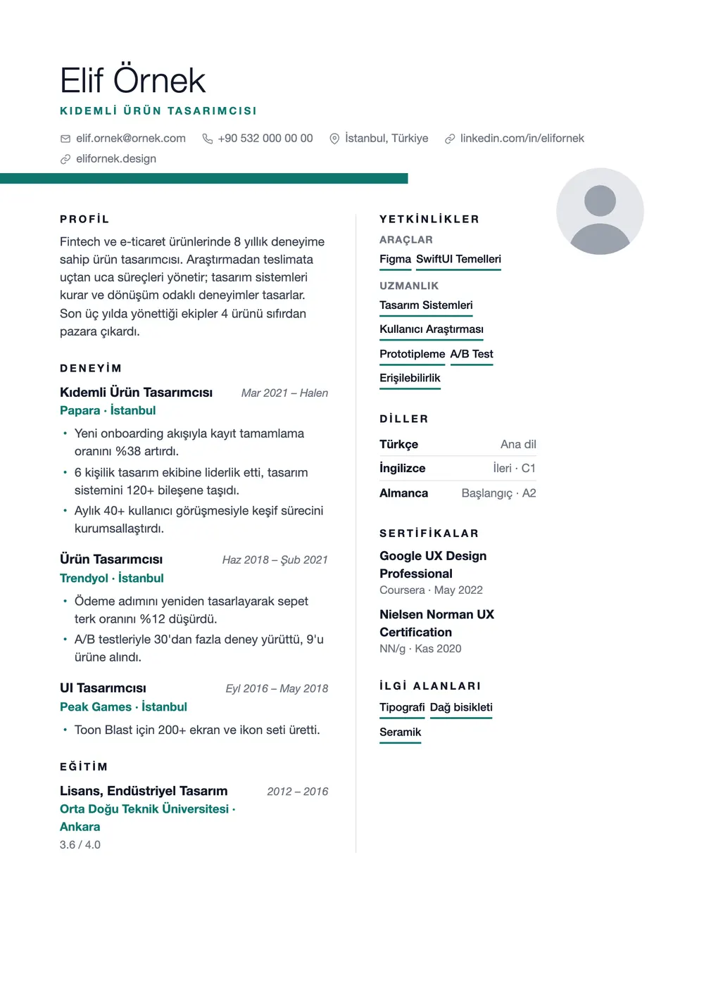 Ribbon CV şablonu önizlemesi